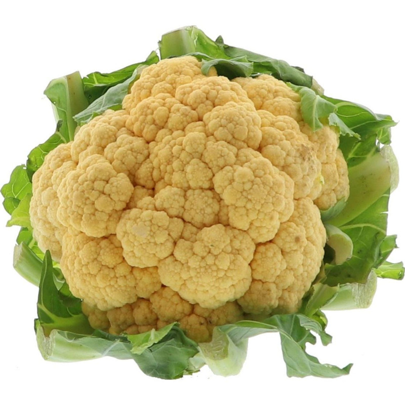 CHOU FLEUR ORANGE 6PCS